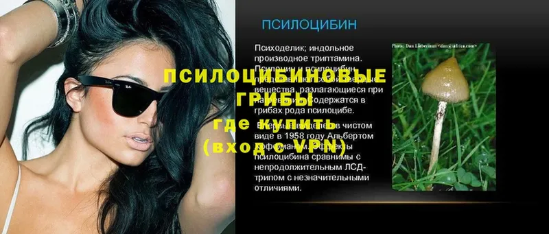 Галлюциногенные грибы ЛСД  Владикавказ 